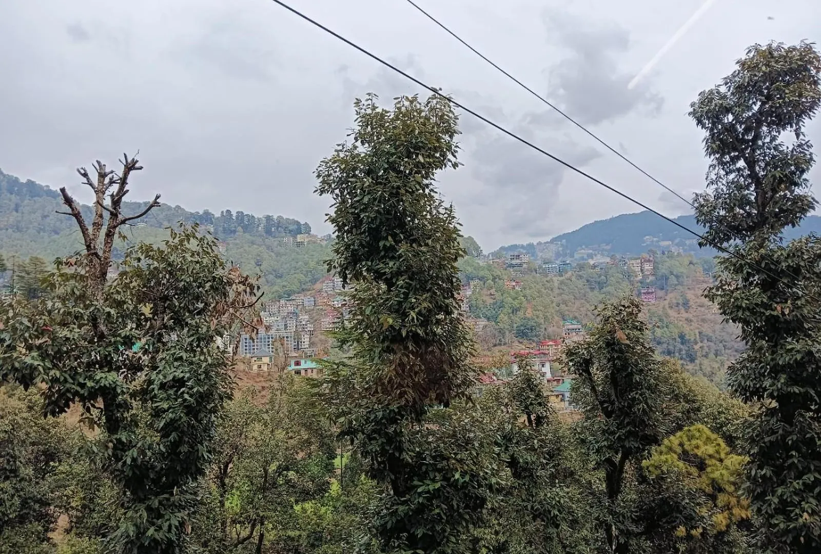 B&B Aston Shimla Hill'S Bed & Breakfast